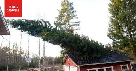 Hannes-myrsky iskee &ndash; n&auml;in suojaat kotisi | 1Uutiset - Lukemisen t&auml;hden | Scoop.it