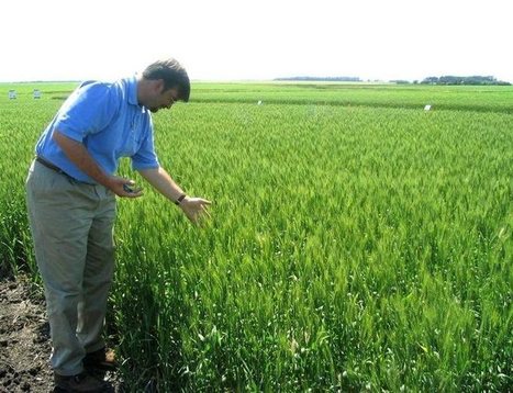 Monsanto fait marche arrière sur les OGM en Europe | Ces infos qui nous font du bien | Scoop.it
