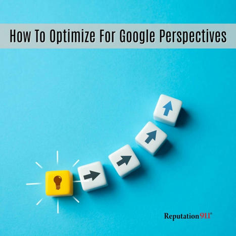 Google Perspectives: 9 New Optimization Strategies for 2024 | Business Reputation Management | Scoop.it