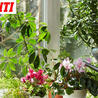 A1Uutiset