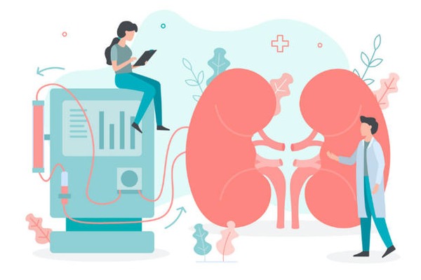 Dialysis: Procedure, Types, Risks, and Purpose | Peritoneal dialysis | Scoop.it