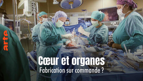 Cœur et organes : fabrication sur commande ? - Regarder le documentaire complet | Actualité sanitaire et sociale - CRDI Croix-Rouge Compétence                               Hauts-de-France | Scoop.it