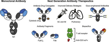 The state-of-play and future of antibody therapeutics | Immunology and Biotherapies | Scoop.it