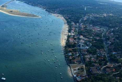 Lentement grignot&eacute;, le Cap Ferret se bat sans rel&acirc;che contre l'&eacute;rosion | Biodiversit&eacute; | Scoop.it
