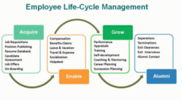 Hr life cycle