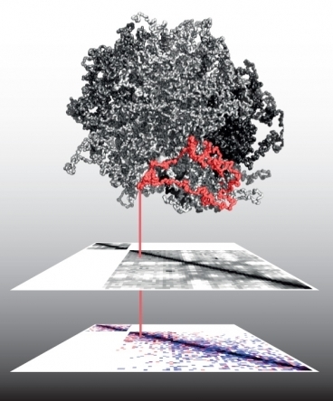 Seeing cancer in three dimensions | Amazing Science | Scoop.it