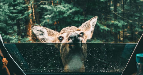 Le tourisme durable, un concept flou pour les Fran&ccedil;ais | (Macro)Tendances Tourisme & Travel | Scoop.it