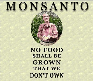 How Monsanto Outfoxed The Obama Administration - Owning The Seeds of Life Patents | YOUR FOOD, YOUR ENVIRONMENT, YOUR HEALTH: #Biotech #GMOs #Pesticides #Chemicals #FactoryFarms #CAFOs #BigFood | Scoop.it