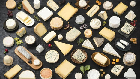 Dégustations, marché, ateliers… Ce festival parisien est fait pour les amateurs de fromages  – | FLEurons de France | Scoop.it