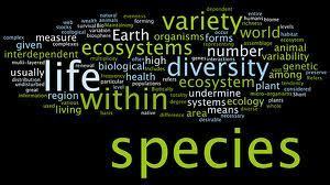 Large Scale Biodiversity Is Vital to Maintaining Ecosystem and Human Health | BIODIVERSITY IS LIFE  – | Scoop.it