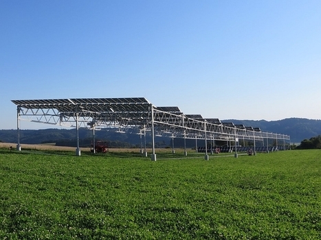L’agrophotovoltaïque entre en expérimentation à grande échelle en Allemagne | rev3 - la 3ème révolution industrielle en Hauts-de-France | Scoop.it
