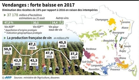 Vin : la France va conna&icirc;tre sa plus petite r&eacute;colte depuis 1945 | Home | Scoop.it