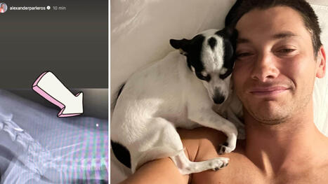 Alexander Pärleros och Ida Wargs chock hos veterinären: Hunden skjuten | 1Uutiset - Lukemisen tähden | Scoop.it