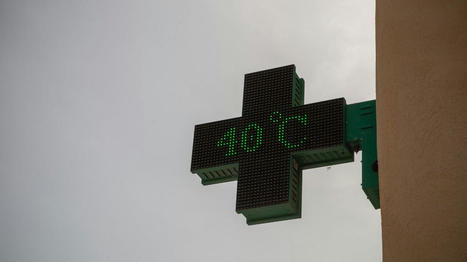 Santé : les fortes chaleurs de l'été 2022 ont causé plus de 61.000 morts en Europe, dont près de 5.000 en France, selon une étude. | JamesO | Scoop.it