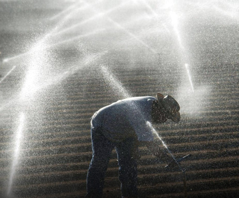 The WATER footprints of global FOOD and AGRICULTURE trade&nbsp; | CIHEAM Press Review | Scoop.it