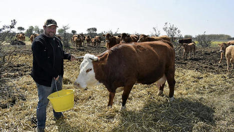 Être éleveur dans le Gard : "Pour développer le circuit court, il faut que les bouchers s’intéressent à nous" | La Gazette des abattoirs | Scoop.it
