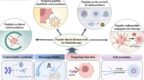 Peptide-Based Biomaterials as a Promising Tool for Cancer Radiotherapy | AdvS | RMH | Scoop.it