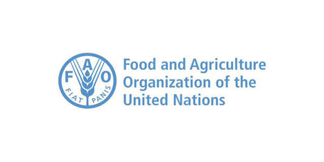 TUNISIE : la FAO alerte sur une probable invasion de criquets p&egrave;lerins dans le Sud&nbsp;&nbsp; | CIHEAM Press Review | Scoop.it