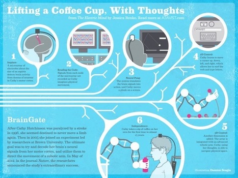 Controlling a Robot With Your Mind (Infographics) | Science News | Scoop.it