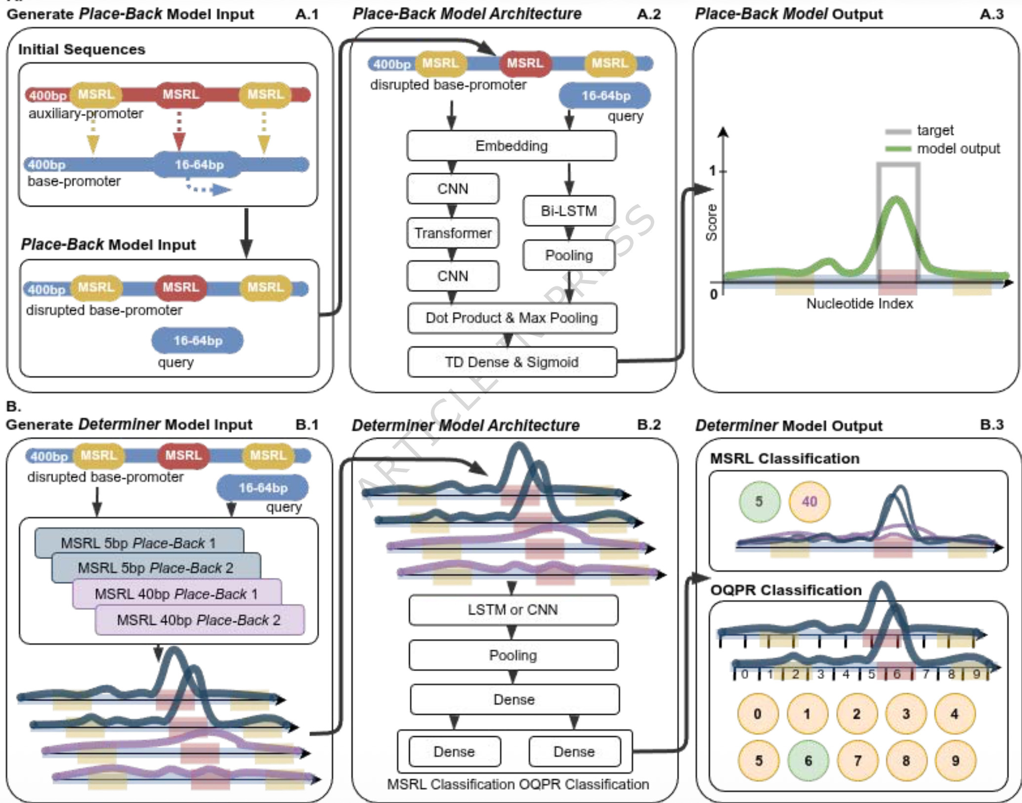Context-aware synthetic promoter design using n...