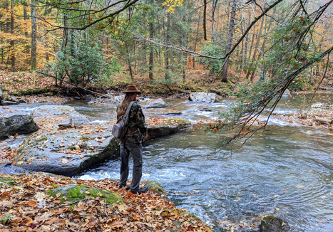 WVU discovers widespread microplastics in Appalachian streams | Industry 411 - Waste Management | Scoop.it