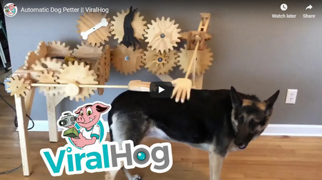 Automatic dog-petting machine is equal parts adorable and functional- Mashable #makered | Makerspace Managed | Scoop.it