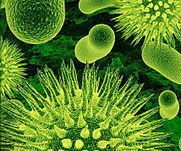 10 Lifestyle Changes To Look Younger | CelebrityFashion | Scoop.it