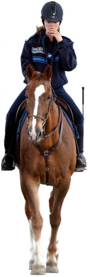 Les policiers municipaux sont enfin en selle - | Cheval et Nature | Scoop.it