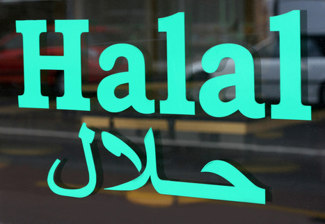 Halal Google Offers Muslims A Sin-Free Internet | ED262 mylineONLINE:  Religion | Scoop.it