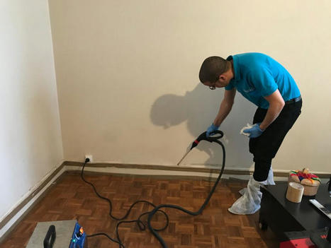 Punaises de lit : &agrave; Paris, le calvaire de Sarah depuis quatre ans | Vari&eacute;t&eacute;s entomologiques | Scoop.it