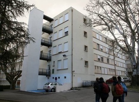 Aix : les punaises de lit font fermer l'internat du lyc&eacute;e C&eacute;zanne | Vari&eacute;t&eacute;s entomologiques | Scoop.it
