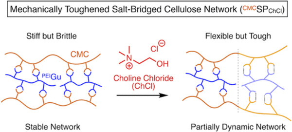 Supramolecular Ionic Polymerization: Cellulose-Based Supramolecular Plastics with Broadly Tunable Mechanical Properties | Innovating to what's next... | Scoop.it