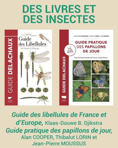 Avec ces deux guides, vous serez pr&ecirc;ts &agrave; identifier les libellules et les l&eacute;pidopt&egrave;res que vous croiserez ! | Vari&eacute;t&eacute;s entomologiques | Scoop.it