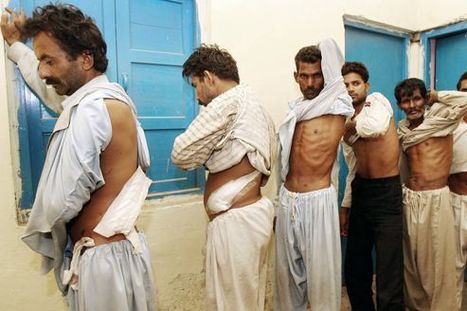 Le trafic d'organes humains se poursuit en Asie | Chronique des Droits de l'Homme | Scoop.it