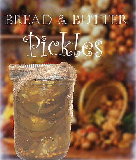 Bread and Butter Pickles Homemade Heirloom Recipe 6 Jars by ilPiccoloGiardino | Boston, you're my home | Scoop.it