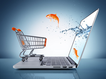 Stratégie Omnicanal : Le PIM, un outil essentiel. | SolidPepper | What's a PIM ? | Scoop.it