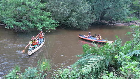 Expédition scientifique et citoyenne sur les eaux fauves de la Leyre… / Actus du Parc Naturel Régional des Landes de Gascogne | Landes | Scoop.it