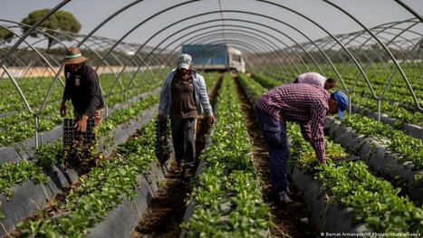 SPAIN: It grows Europe's fruit and veggies, but needs more water | EUROPES | Scoop.it