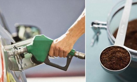 Scientists create fuel using ground coffee beans | foodSenses | Scoop.it