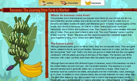 Track It Back | Rainforest Alliance | Rainforest CLASSROOM | Scoop.it