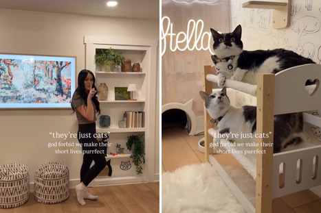 Awe As Newlyweds Build Their Cats 'Hidden Bedroom' Inside House: 'Goals' | Strange days indeed... | Scoop.it