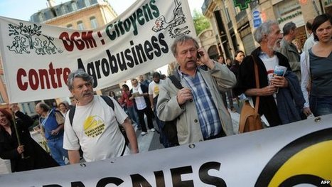 EU changes rules on GM crop-growing | Peer2Politics | Scoop.it