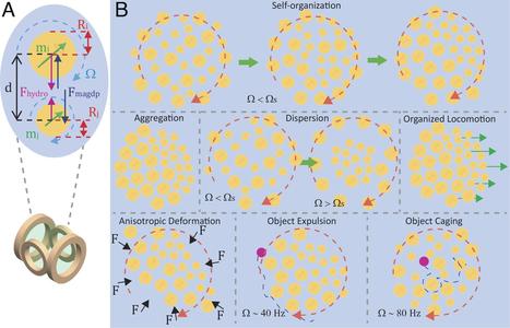 Programmable self-organization of heterogeneous microrobot collectives | Bounded Rationality and Beyond | Scoop.it