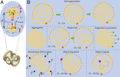 Programmable self-organization of heterogeneous microrobot collectives | Papers | Scoop.it