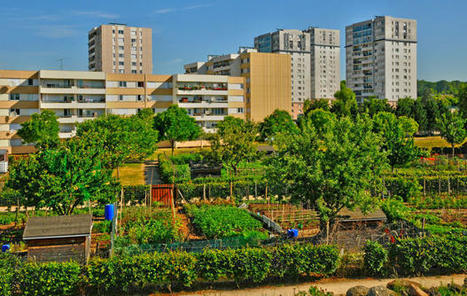 Les outils de planification urbaine pour développer l'agriculture en ville | ESPACES VEGETALISES URBAINS | Scoop.it