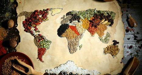 Food and beverage industry trends 2024: Culinary harmony unveiled | Sustainable Procurement News | Scoop.it