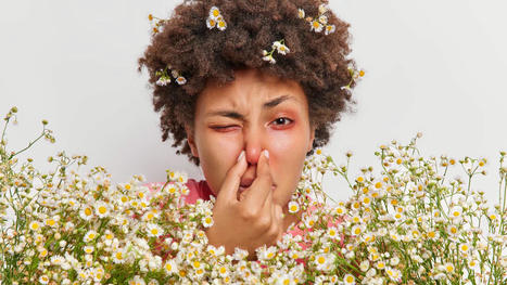 Pollen : les allergies empirent à cause du dérèglement climatique | Planète DDurable | Scoop.it