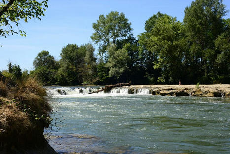 Nature en Occitanie recrute des volontaires ! | Lacroix-Falgarde | Scoop.it