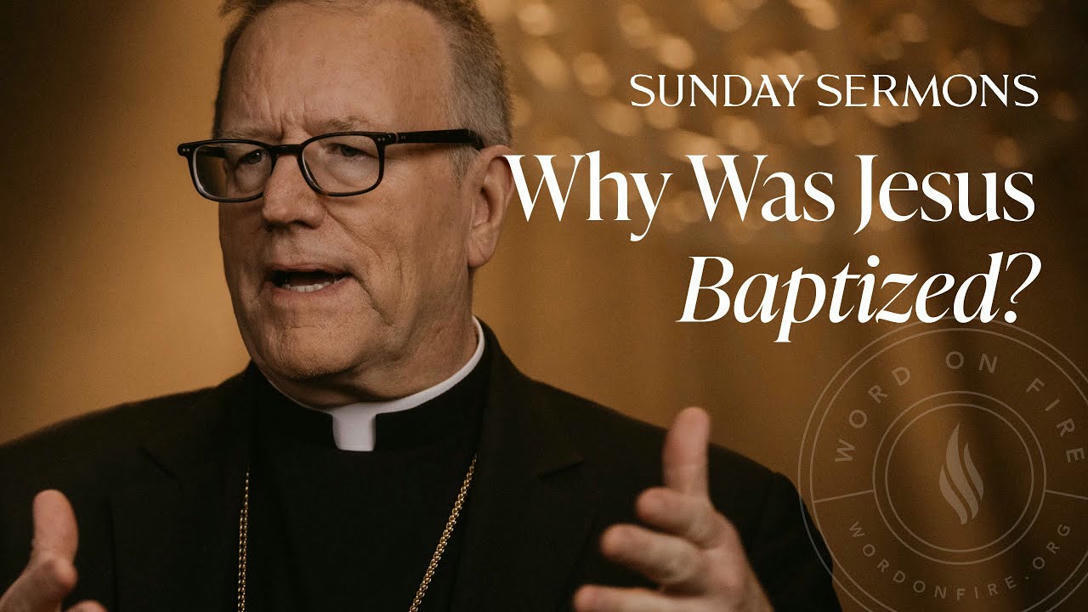Why Was Jesus Baptized Bishop Barron S Sunda
