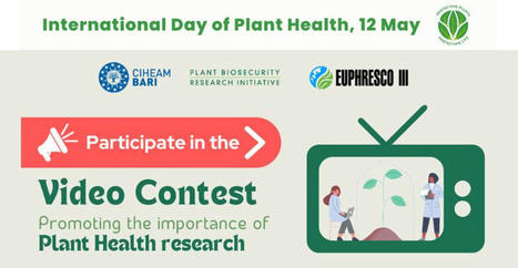 CIHEAM BARI : International Day of Plant Health Video Contest - 3rd edition of the “Plant Health TV: Research that helps Plant Health” | CIHEAM Press Review | Scoop.it